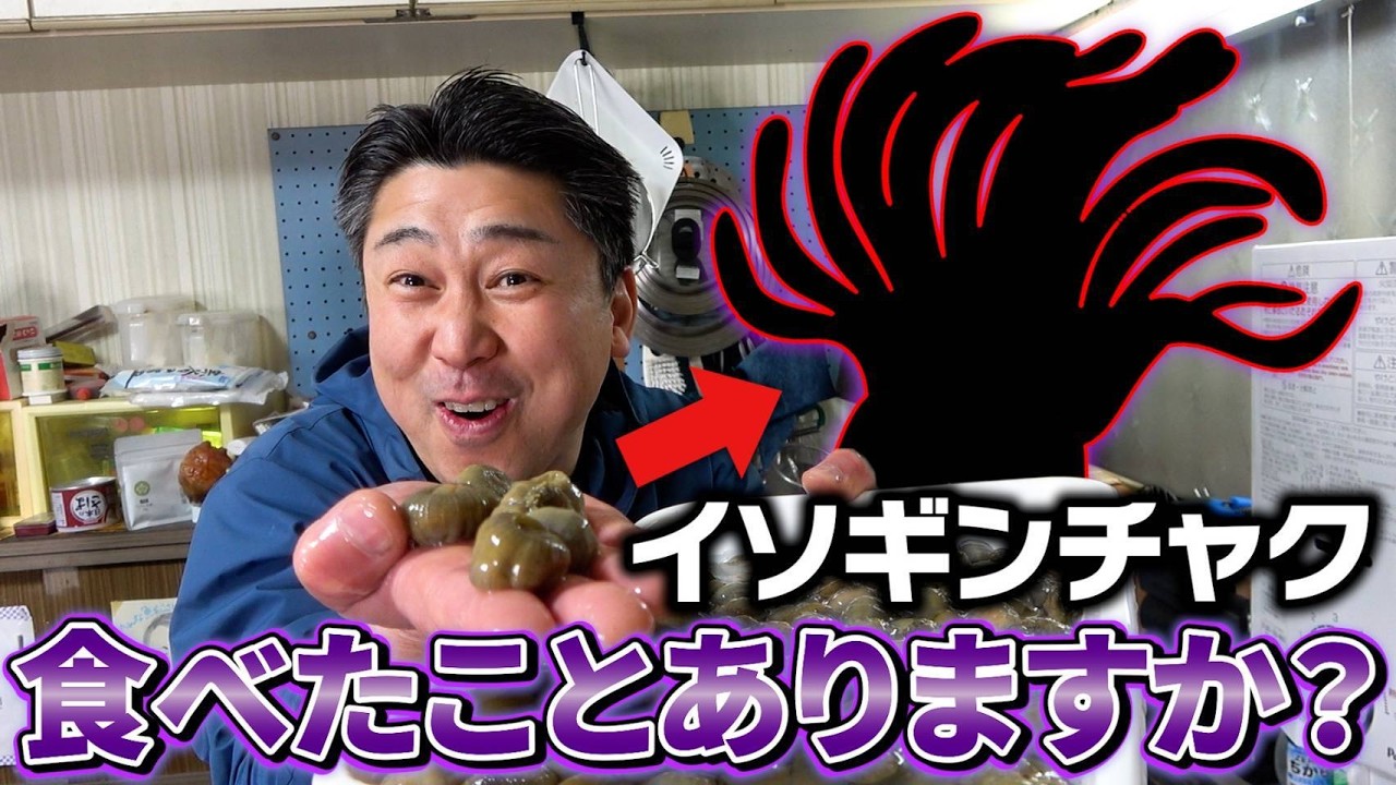 【初体験】イソギンチャクって美味しいの...！？特別ゲストも登場！