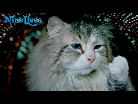 Nine Lives (2016) (TV Spot 5)