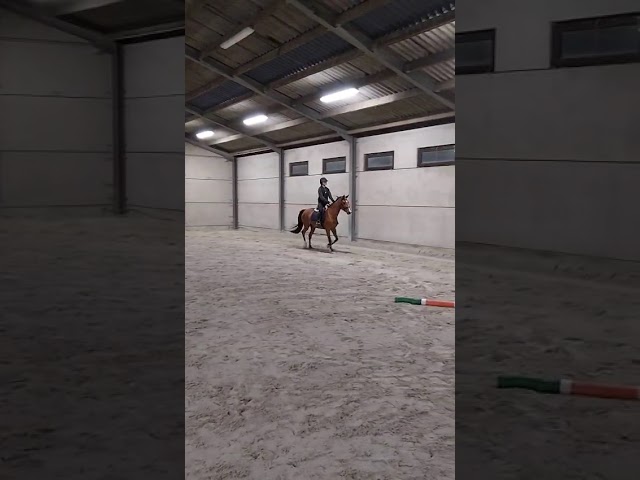 4ans 1m53 