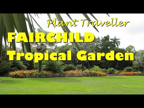 Plant Traveller: Fairchild Tropical Garden Tour #miami