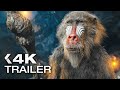 THE BEST UPCOMING MOVIES 2024 Trailers