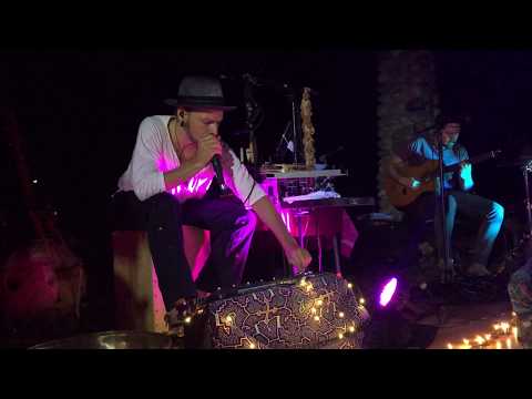 Shamans Dream, Ryan Herr and Porangui Perform at NCDC's Dance Camp