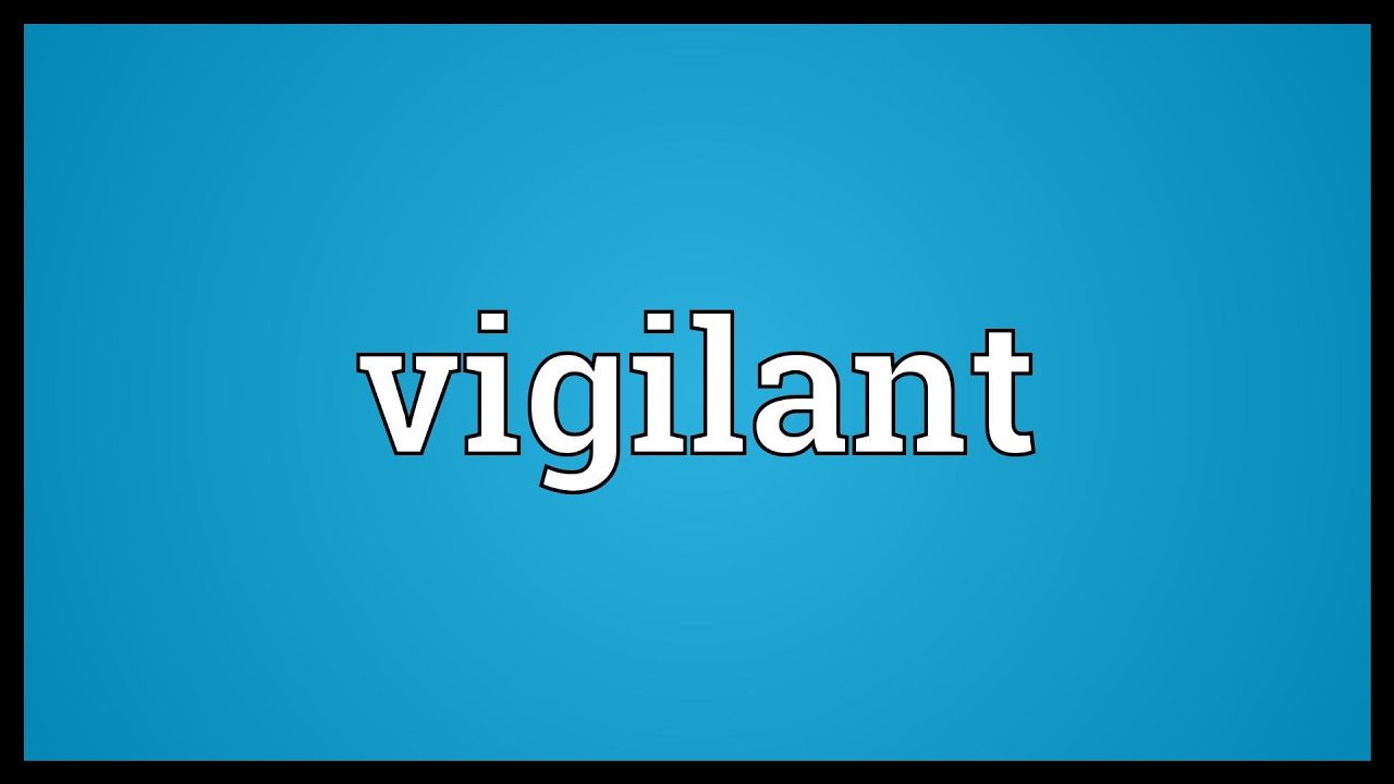 How do you use the word vigilant?