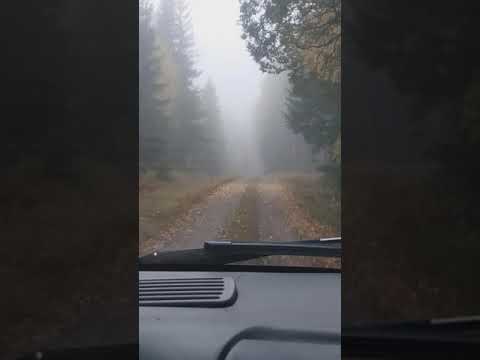 Chevrolet s10 pÄ gengas i skogen