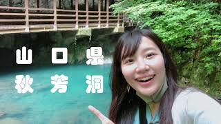日本最大規模の鍾乳洞、山口県の秋芳洞がすごかった…！