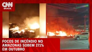 Vídeo: Focos de incêndio no Amazonas sobem 271% nos primeiros dias de outubro | BOLETIM CNN