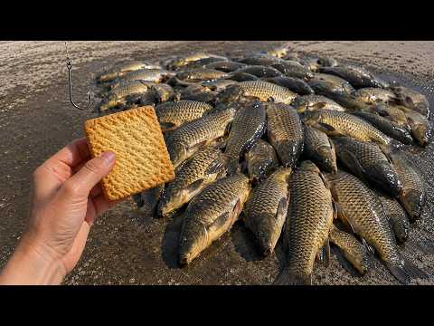 Fishermen have been silent about this for 65 years! Cracker bait