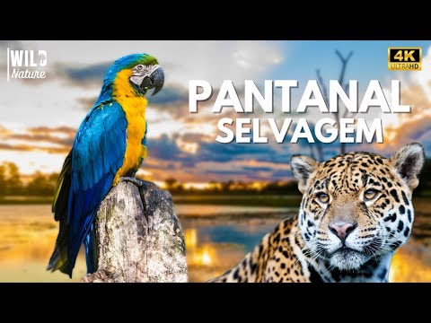 SECRETS OF THE PANTANAL - Where Life Meets Its Greatest Challenges | Animal Documentary