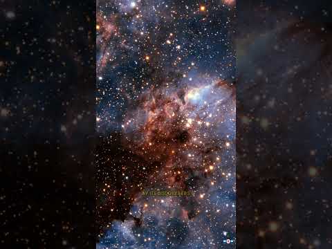 Supernova - Just Founded