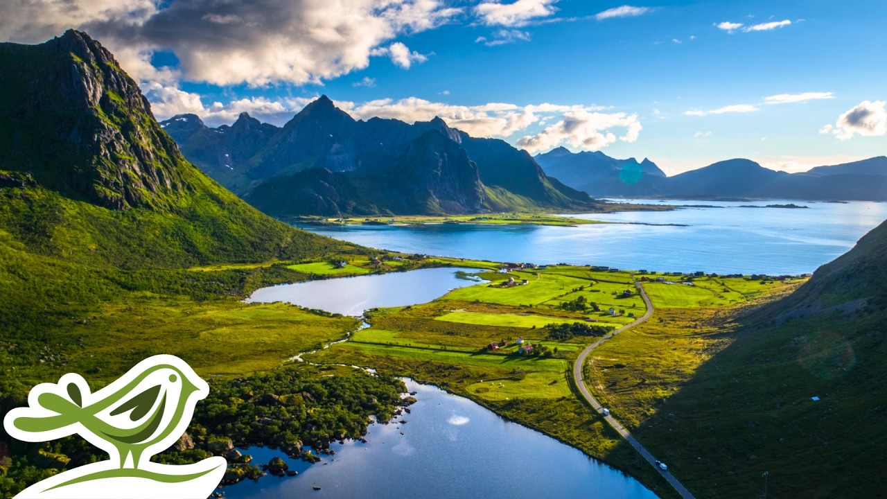 Peder B. Helland - Thursday | Beautiful & Relaxing Piano Music for Stress Relief