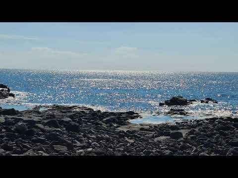 Too Much Sunshine - CHS