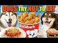 Dogs Try Not To Eat Challenge
