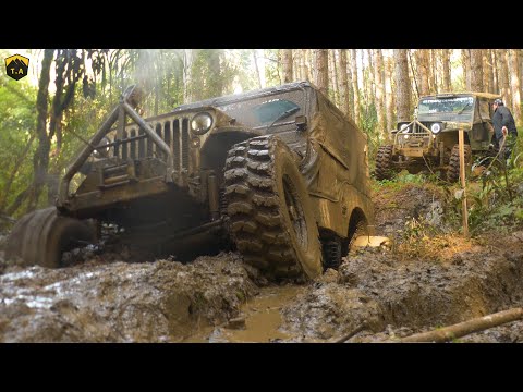 Transcatarina 2022 - Dia 3 - LAMAÇAL MALDITO - Troller Biturbo, Willys AP & Toyota