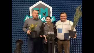 Ель, можжевельник и сосна