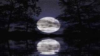 Crush & Alexandra Ungureanu - Tonight We'll Rise (Fan Made Video)