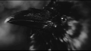 Dissection - Retribution - Storm of the Light&#39;s Bane ( Ämmänhaut Video )