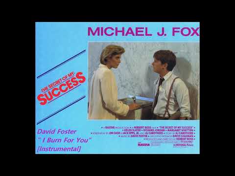 I Burn For You - David Foster - The Secret Of My Success