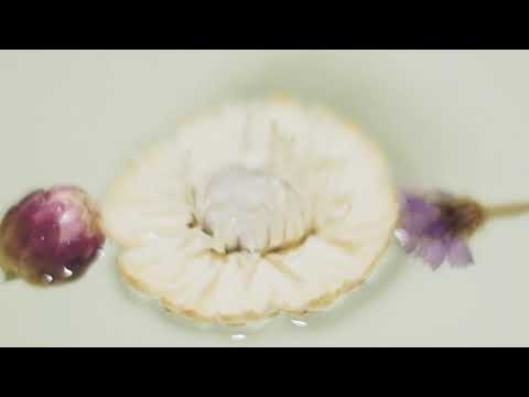 Pavasaris vertėsi kūliais - Arūnas Vismantas, skaito Ramūnas Šeputis