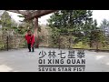 Qi Xing Quan | 少林七星拳 | Seven Star Fist