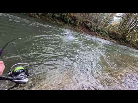 Epic Steelhead Fishing On Christmas! (Multiple Fish Caught!)
