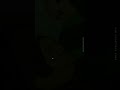 Zihaal E Miskin Whatsapp Status Vishal Mishra Shreya Ghoshal Tumhara Dil Ya Humara Dil Hai