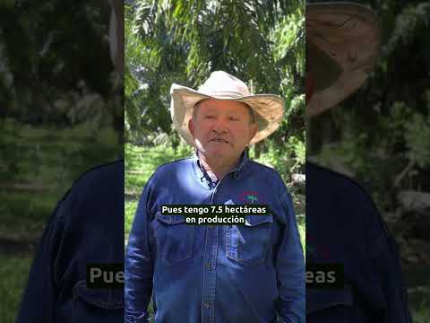 #RostrosDeLaPalma | Rolfe Calderón palmicultor de  Villanueva (Casanare)