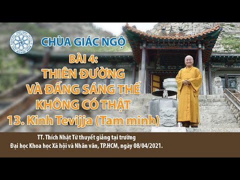 Thiên đường và đấng sáng thế không có thật!