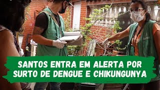 Surto de dengue e chikungunya coloca Santos em alerta