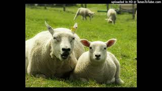 Lucian Green - Mother's Day 2024 Song 2