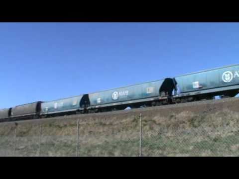 pacific national 81 class