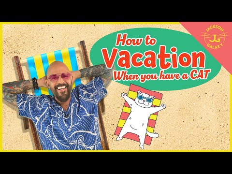 休暇に出かけるとき、猫のために何をすべきか！ (What to Do For Your Cat When You Go Away on Vacation!)