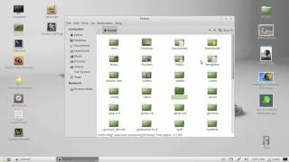 find hidden files in linux mint !!