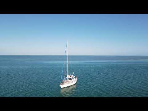 Wild Thing Sailing Charter At Key West Nov 2020