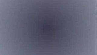 Apollo 440 Pain in Any Language