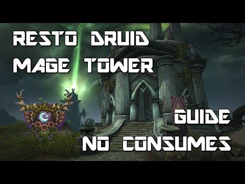 Time Walking Resto Druid Mage Tower Guide