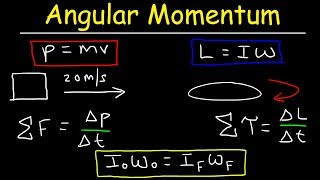 Angular Momentum - Basic Introduction, Torque, Inertia, Conservation of Angular Momentum