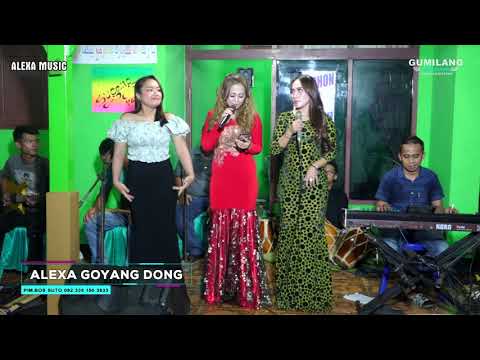 AKU TAK BUTUH CINTA ALL ARTIST - ALEXA MUSIC KARANGGONDANG WEDDING JAUHARI SIDIQ & ALVINA