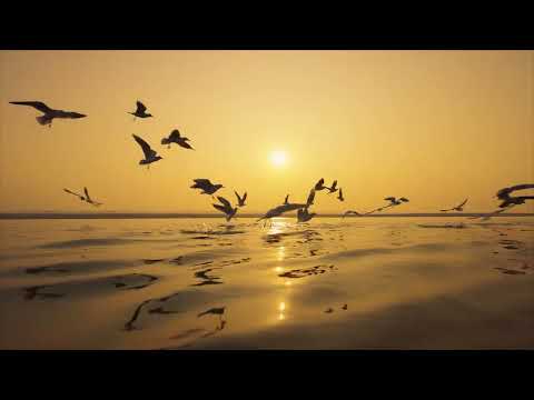 JSW Presents Songs Of The River  Ganga - Shantanu Moitra - Earth Day