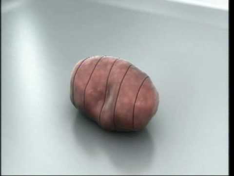 The Balancing Act  Show 895 - Veridex LLC