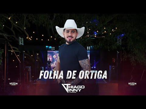 THIAGO VINNY - FOLHA DE ORTIGA - AO VIVO EM ITACAMBIRA