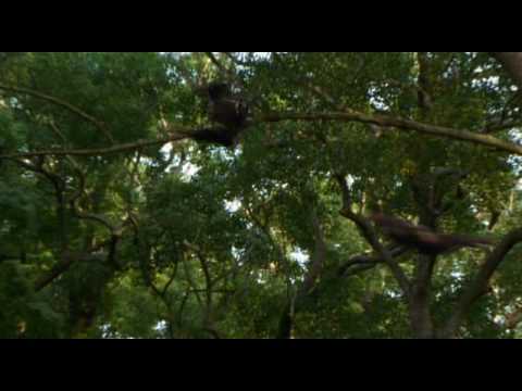 Live Action Izuna Drop - Ninja Gaiden's Ryu's Signature Throw in Action!