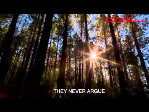 Allah Doesn't Need You!  - Brother Mohamed Hoblos