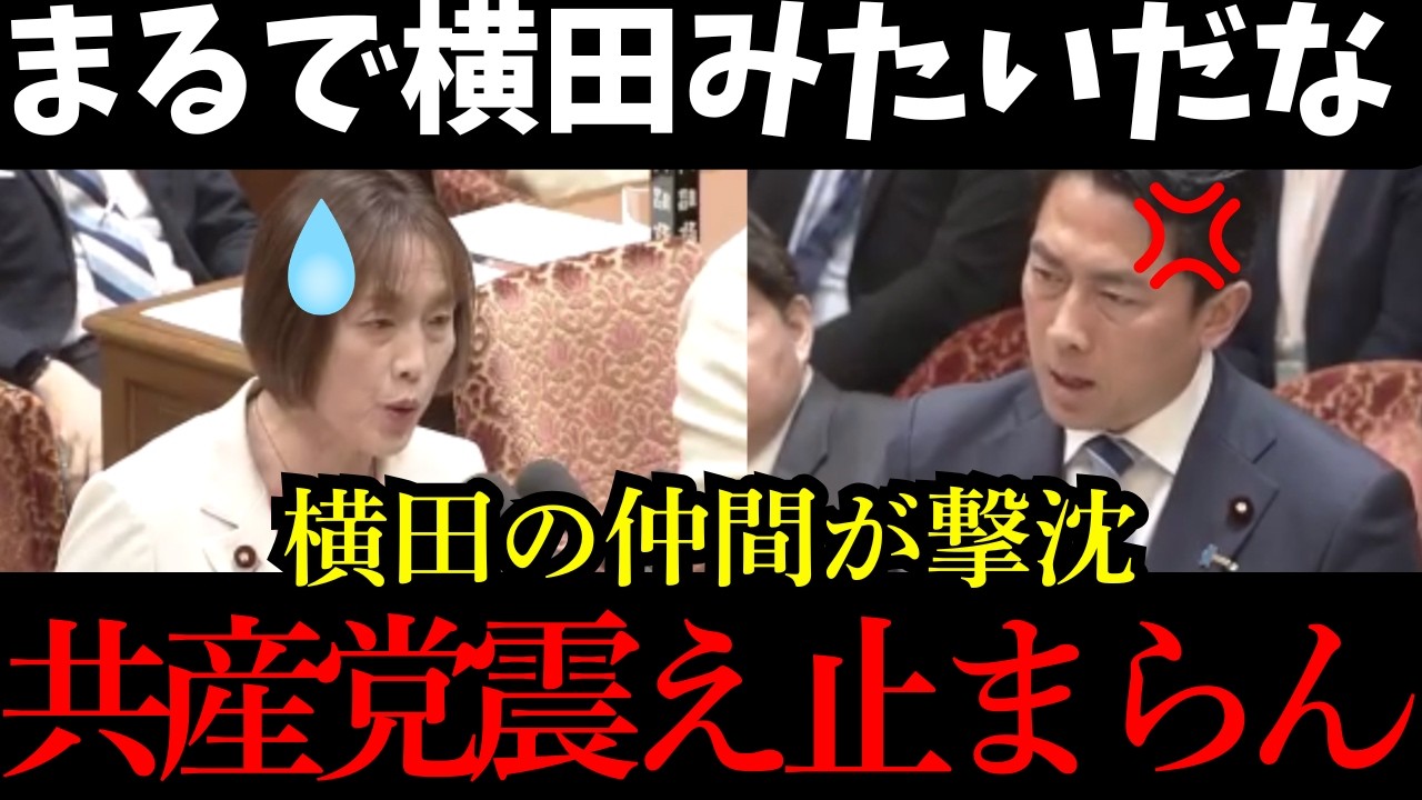 【国会速報】小泉進次郎に横田一と同じ扱いを受けて震えが止まらない田村智子議員