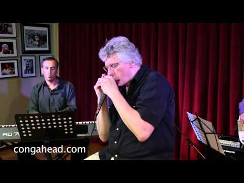 Hendrik Meurkens Quartet performs Sambatropolis