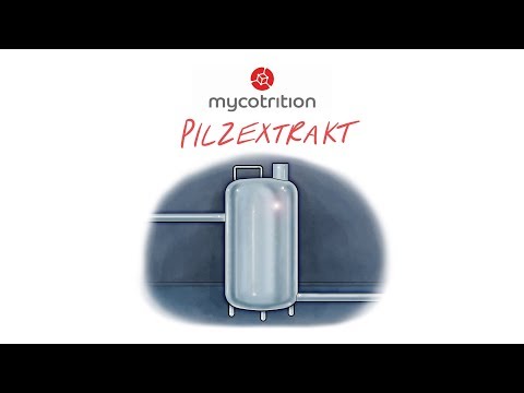 Pilzvideos 003 Pilzextrakt