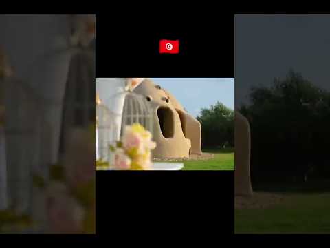 Dar Baya Ecodome Table d'hôte à Béja en Tunisie