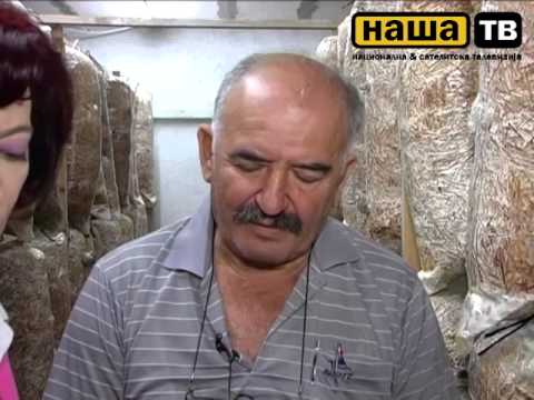 Profit kooperantski odnos 1 del