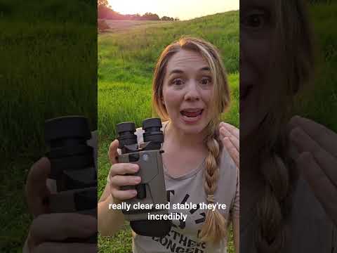 Sig Sauer WHISKEY3 Hunting Riflescope Demo