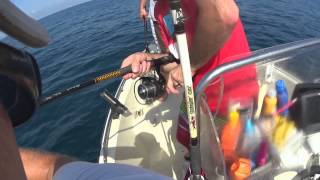 Birthday Red Snapper