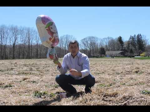 National Hamburger and Strawberry Month at Eli's